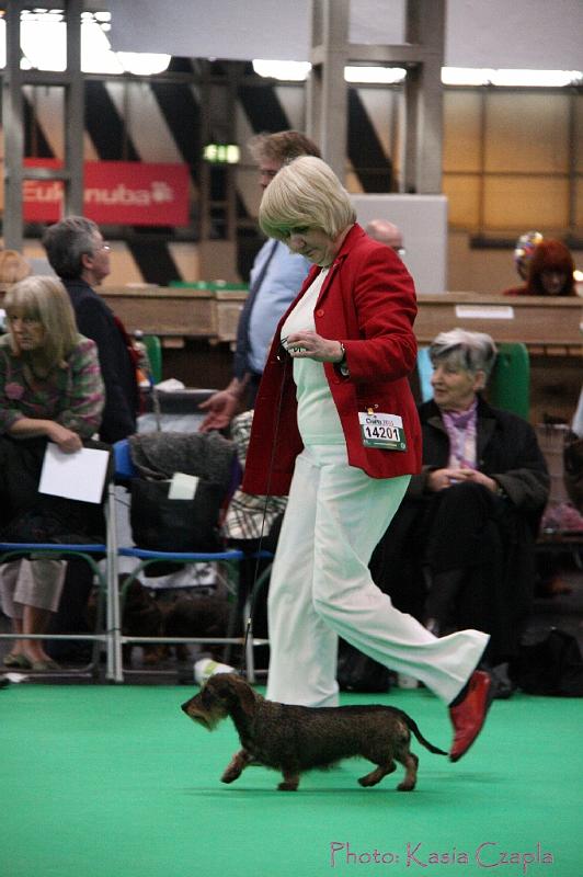 Crufts2011_2 1466.jpg